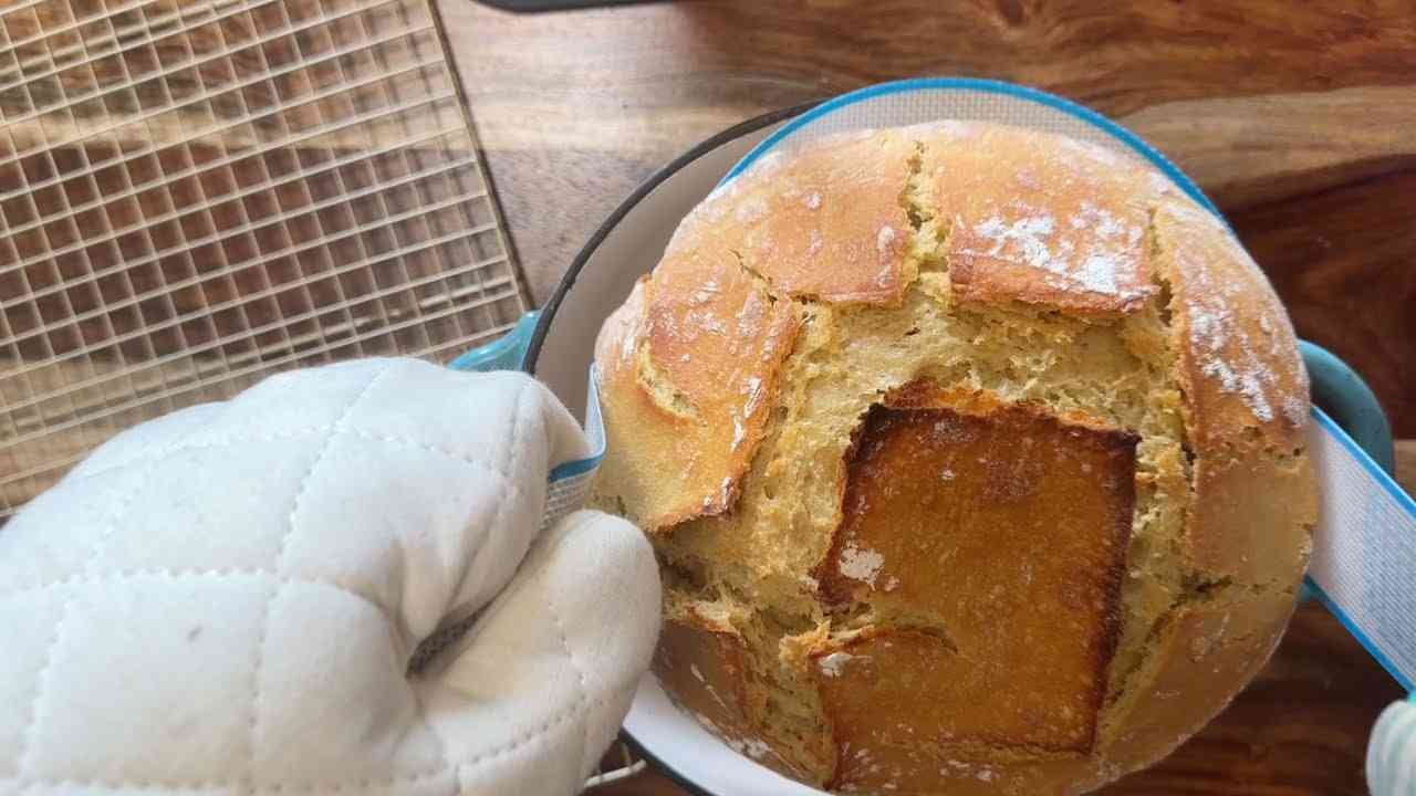 Golden Harvest Einkorn Sourdough Loaf - Bread
